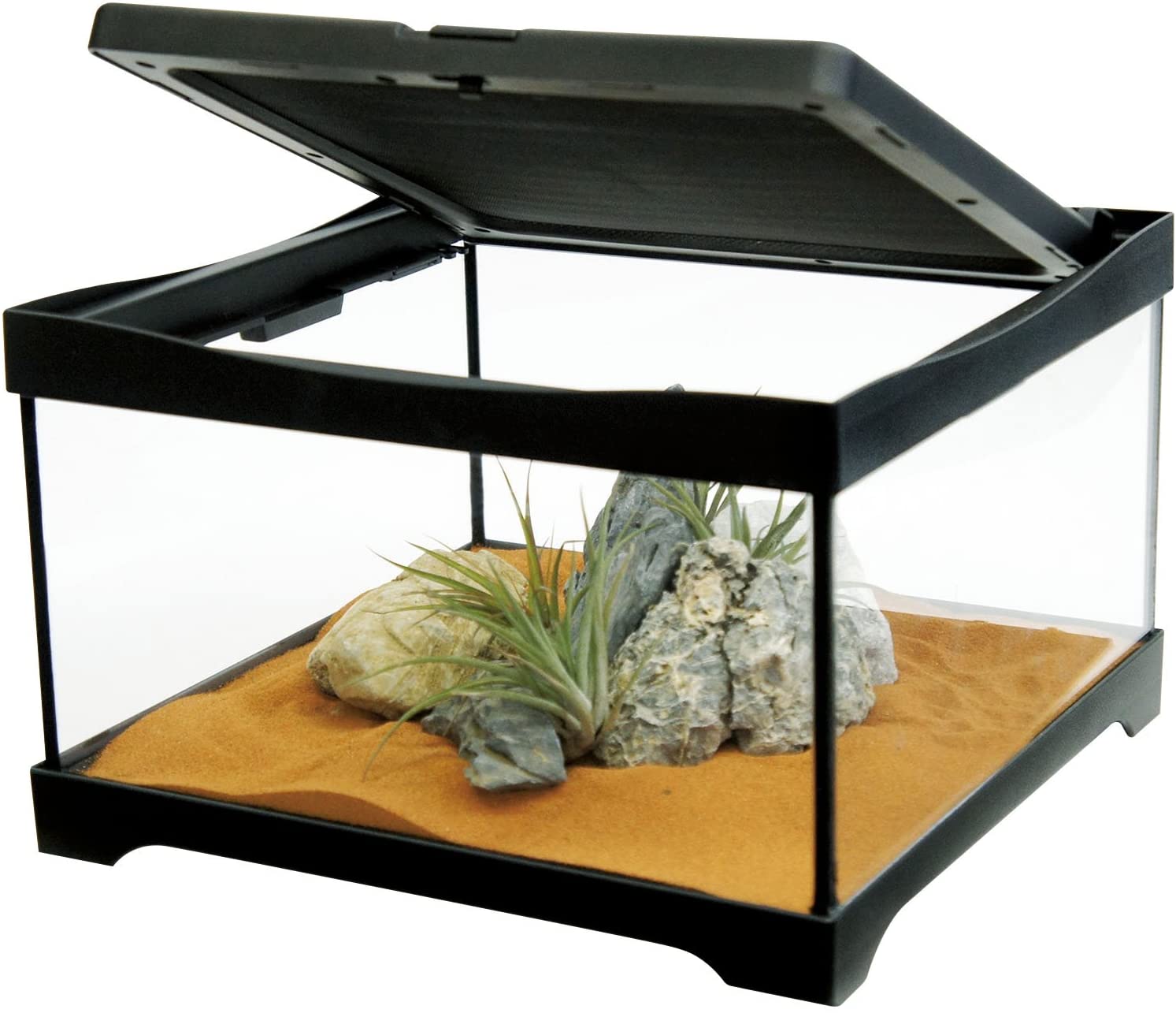 特注】爬虫類ケージ 804040 ガラス仕切り 配線穴右上下 特注】爬虫類