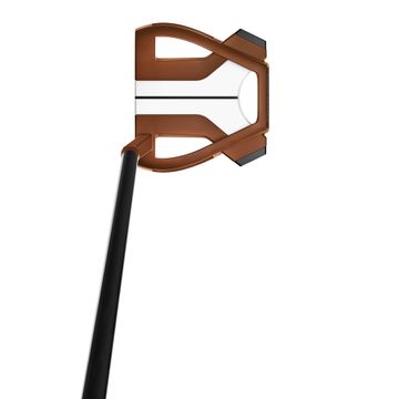 岩井明愛の優勝パター、「スパイダーX」の秘密 - ゴルフ総合サイト