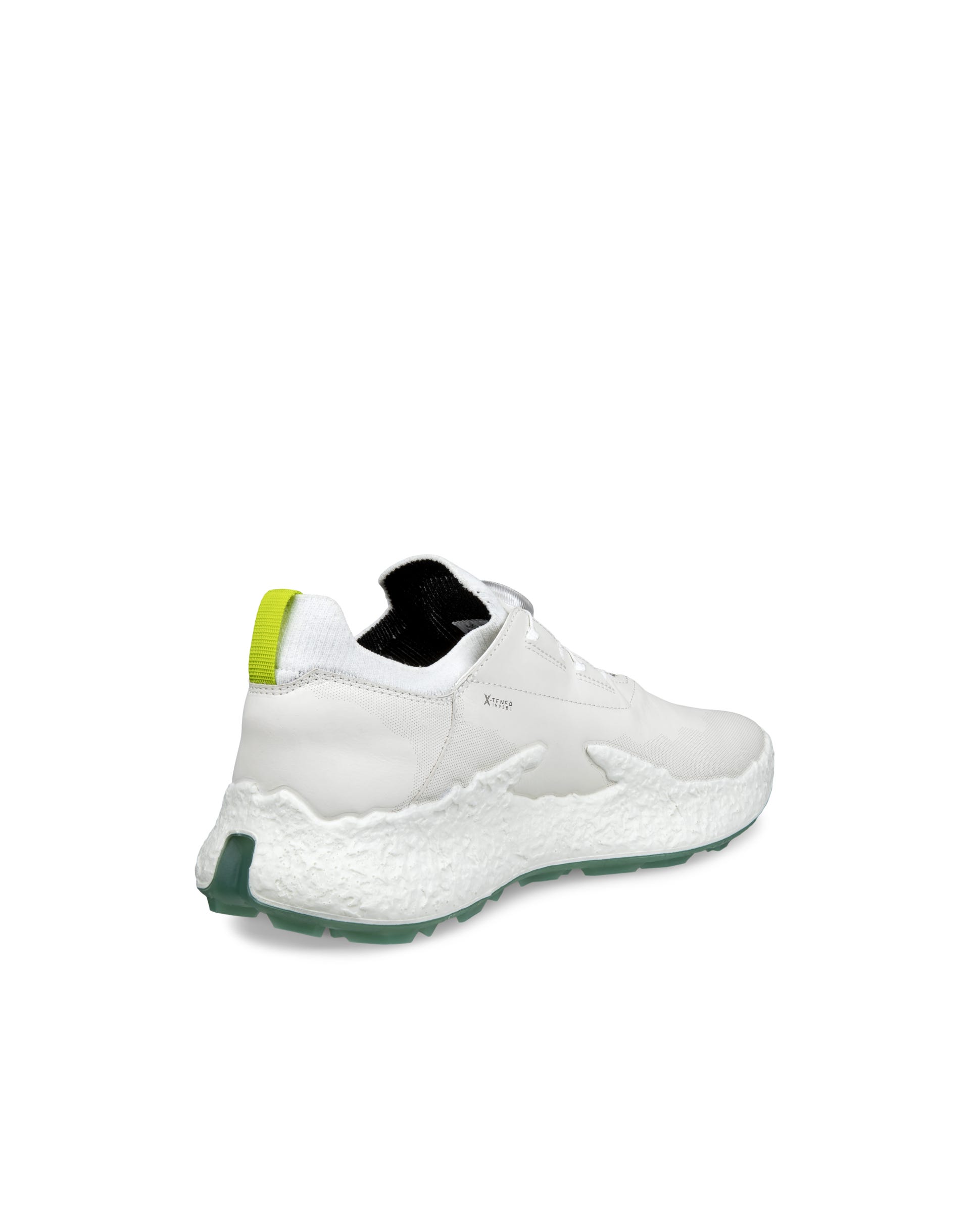 ECCO Golf BIOM H5 Hybrid Men メンズ レザーウォータープルーフゴルフ