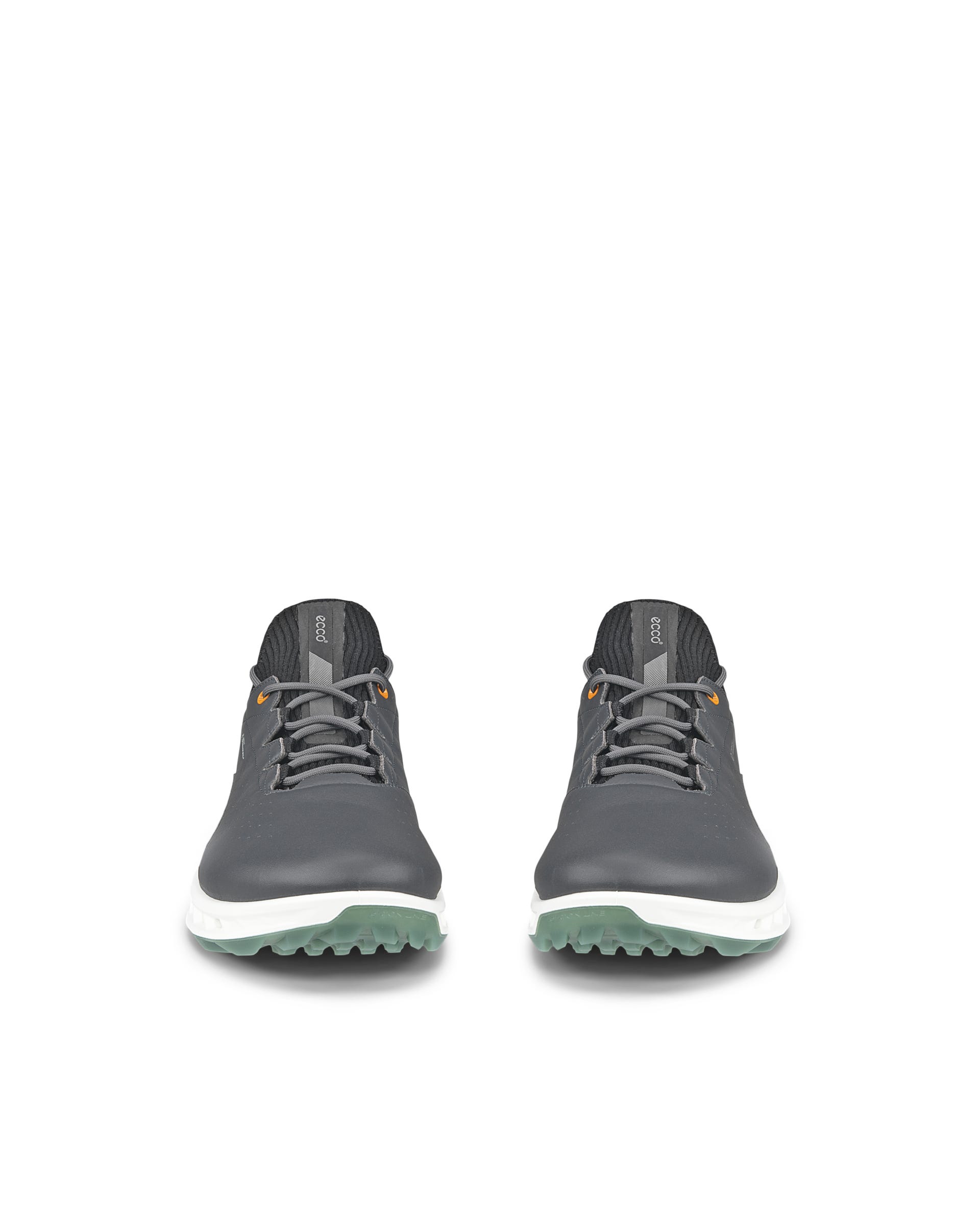 ECCO Golf BIOM C4 Men メンズ レザーGore-Texゴルフシューズ | グレー