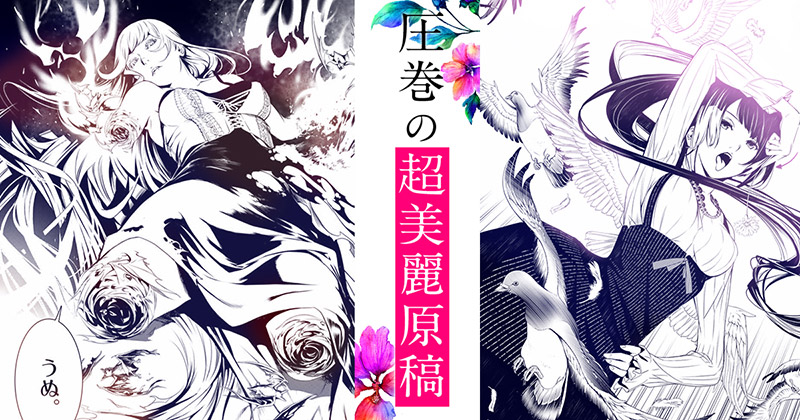 ひたぎ再臨！】西尾維新×大暮維人『化物語』ファンに話題の特装版