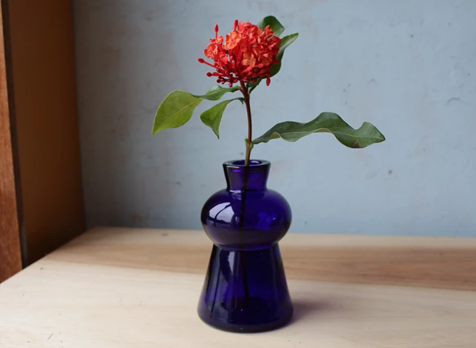 透明感のあるはっきりとした色合いが魅力的。秋のお花が映える「TOUMEI