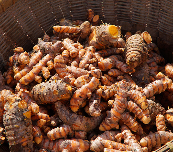公式】すこやか工房 オンラインショッピング