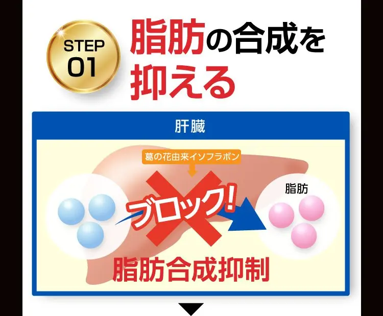 Oi gurt（オイグルト）｜便通を改善し、体重を減らす！