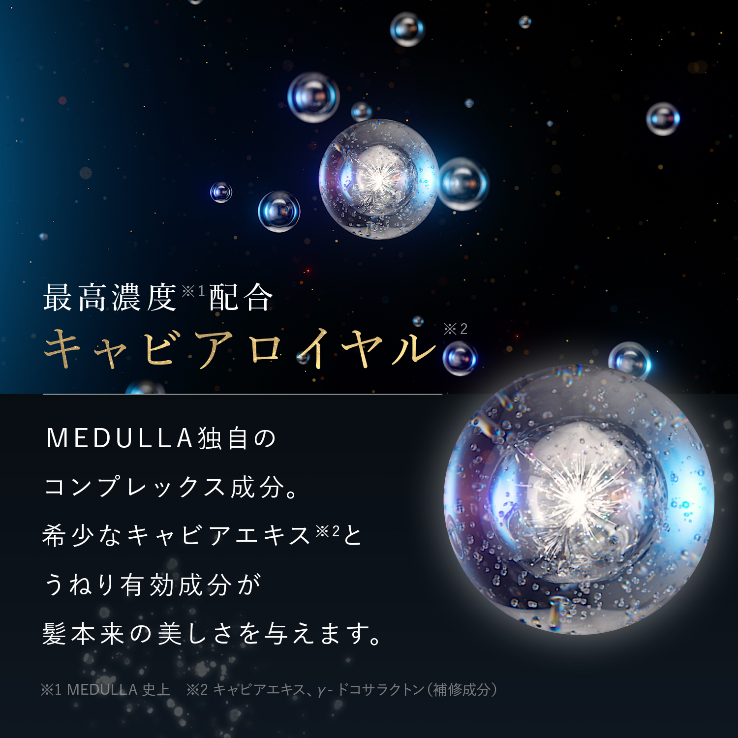 公式】CLUB MEDULLA