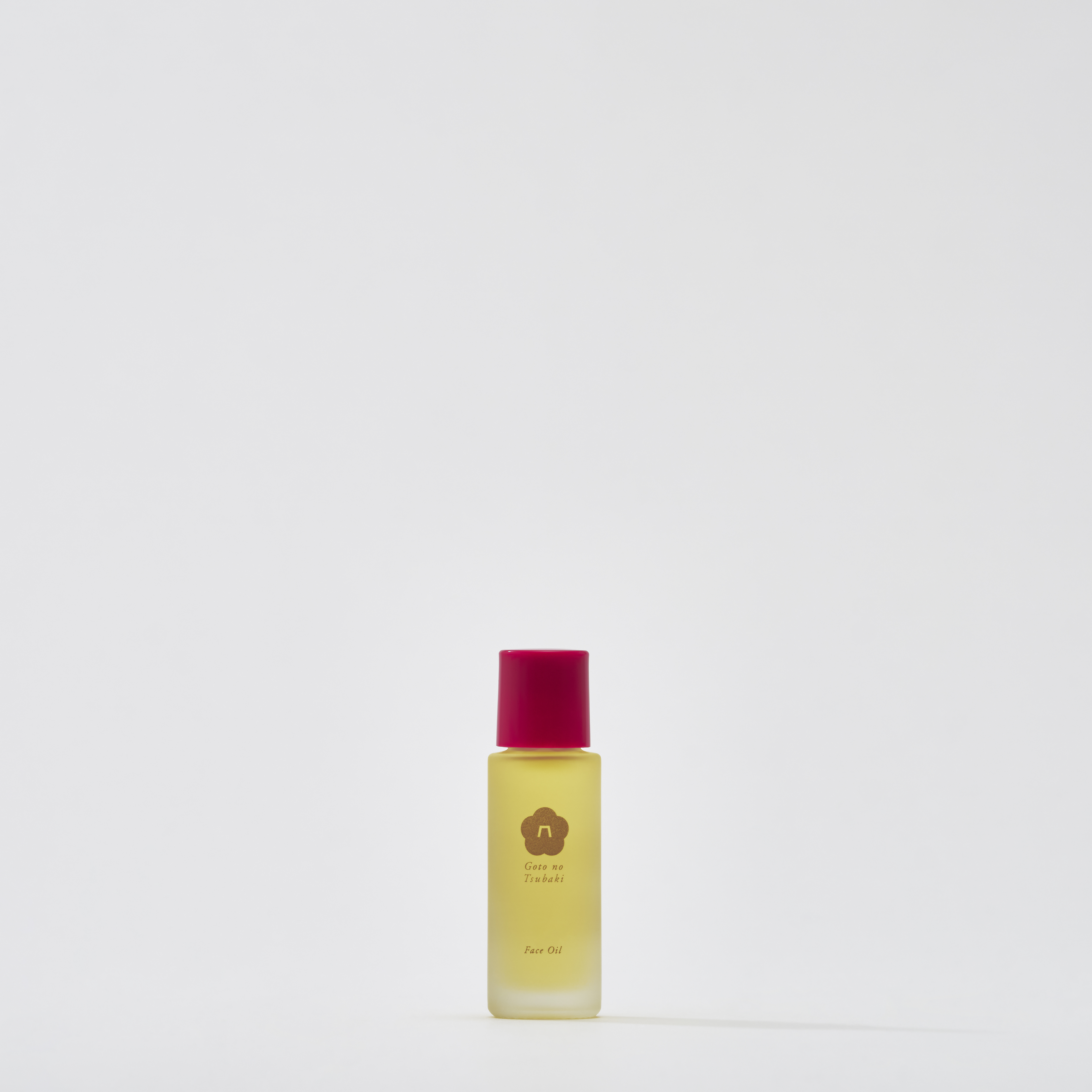 b8a5d5258cc6c90e7a922122271985