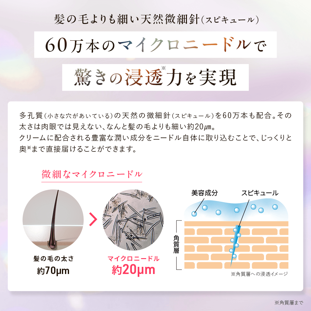 PERFECT NEEDLE Premium(パーフェクトニードル プレミアム)|ファビウス