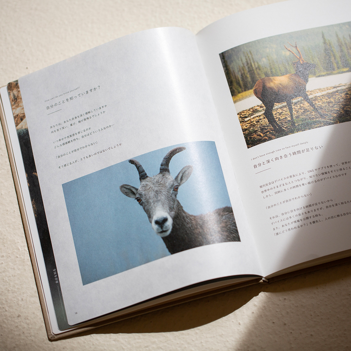 NEXT STAGE BOOK the linen｜FOCUS EiTO