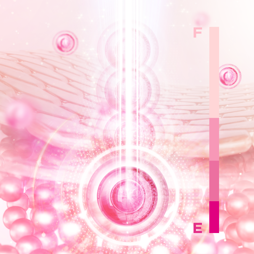 GENiS Professional | 商品詳細