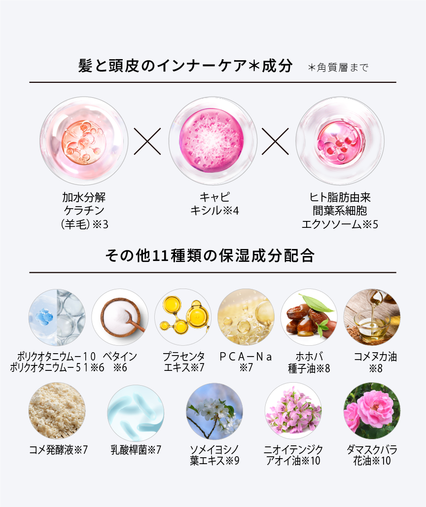 GENiS Professional | 商品詳細