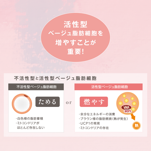 be-10 メソボディ&レッグクリーム 150g - LIBERTA ONLINE STORE