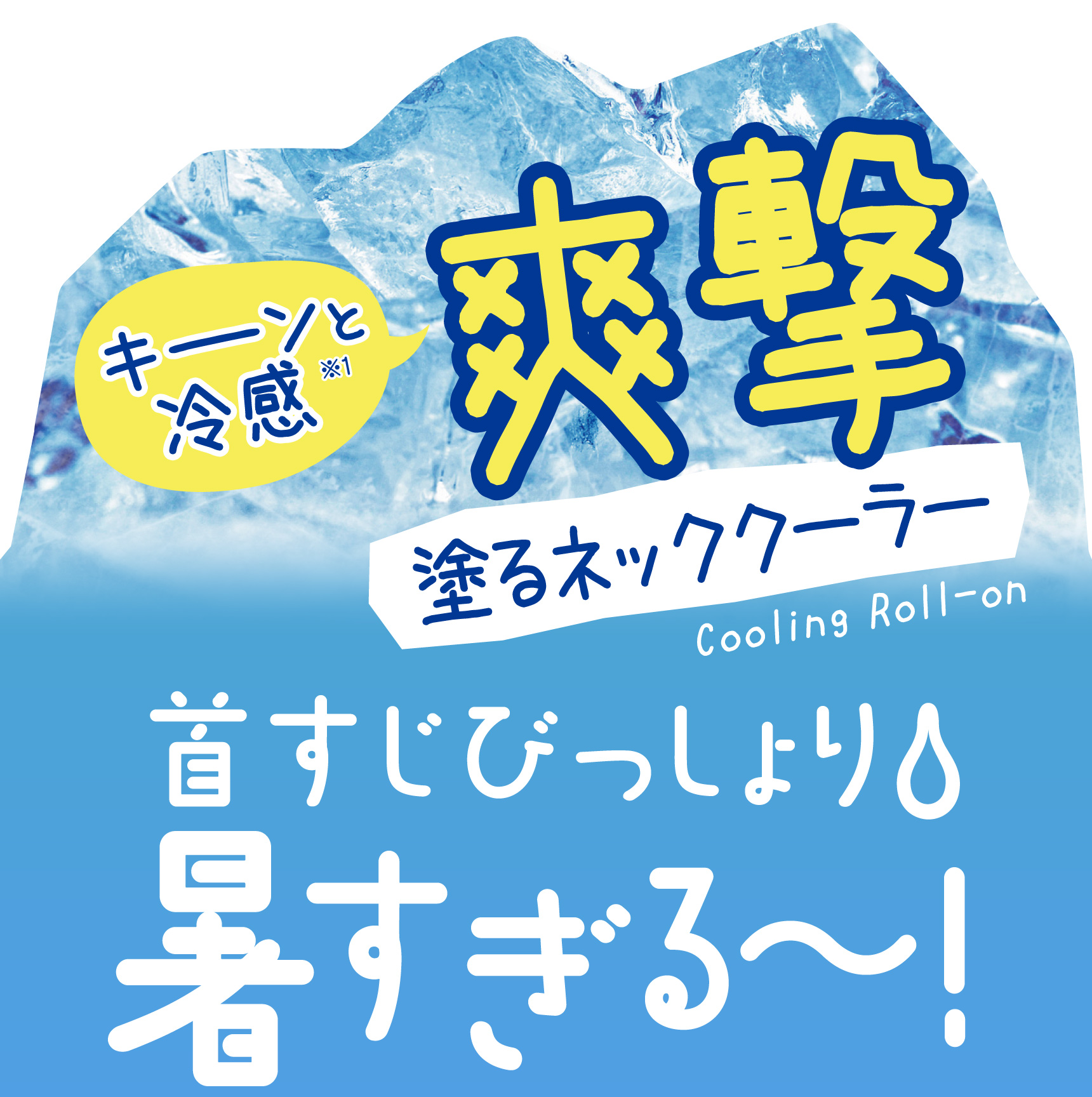 クーリスト アセダレーヌ - LIBERTA ONLINE STORE