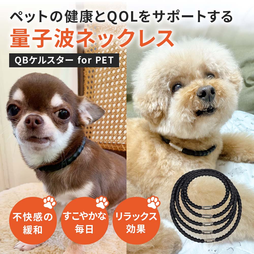 NEW】QBケルスター for PET｜ペットスタンス ドッグスタンス キャット
