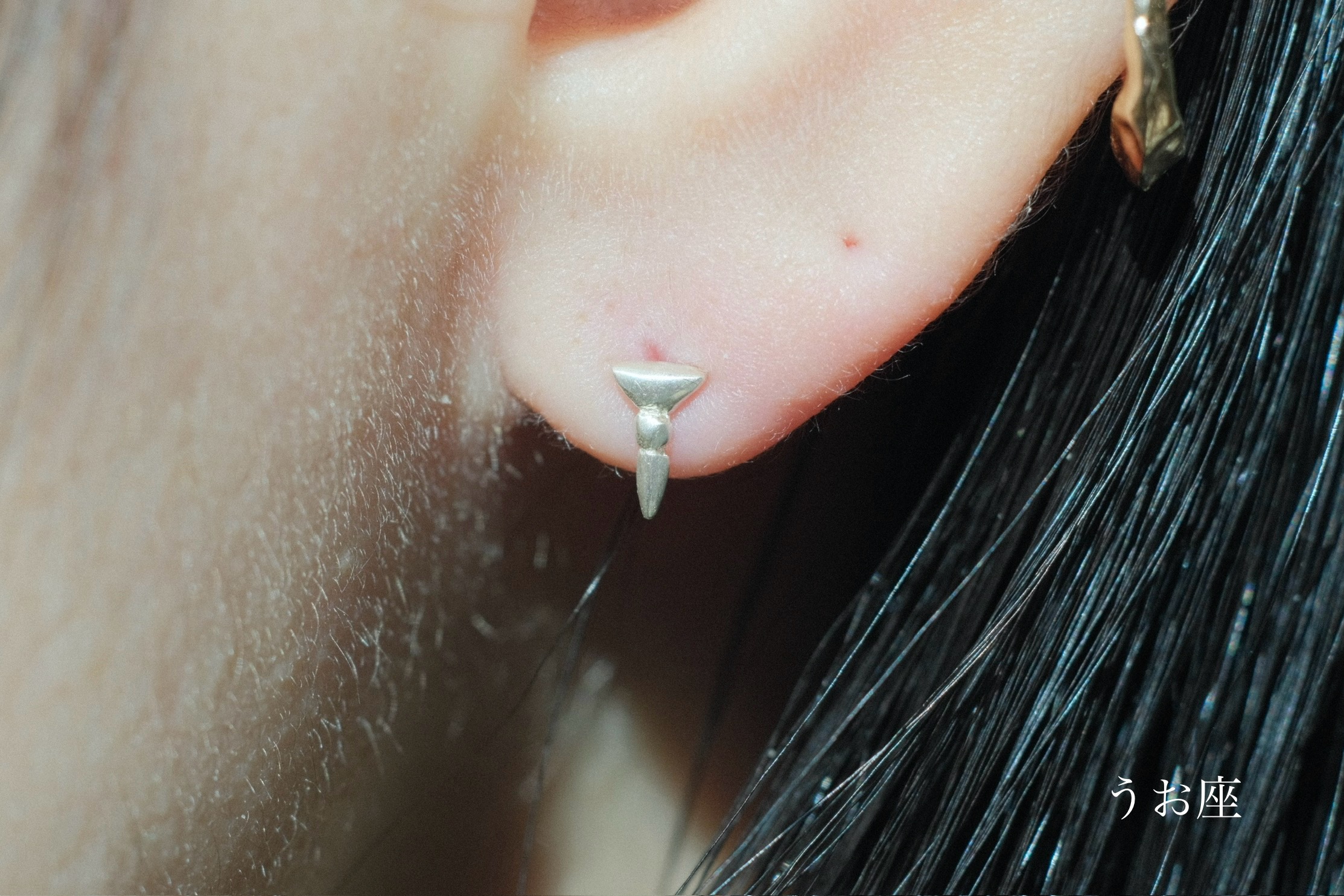 ゾディアック ピアス - PLUIE：プリュイ / ユエリーニュ 『公式』web