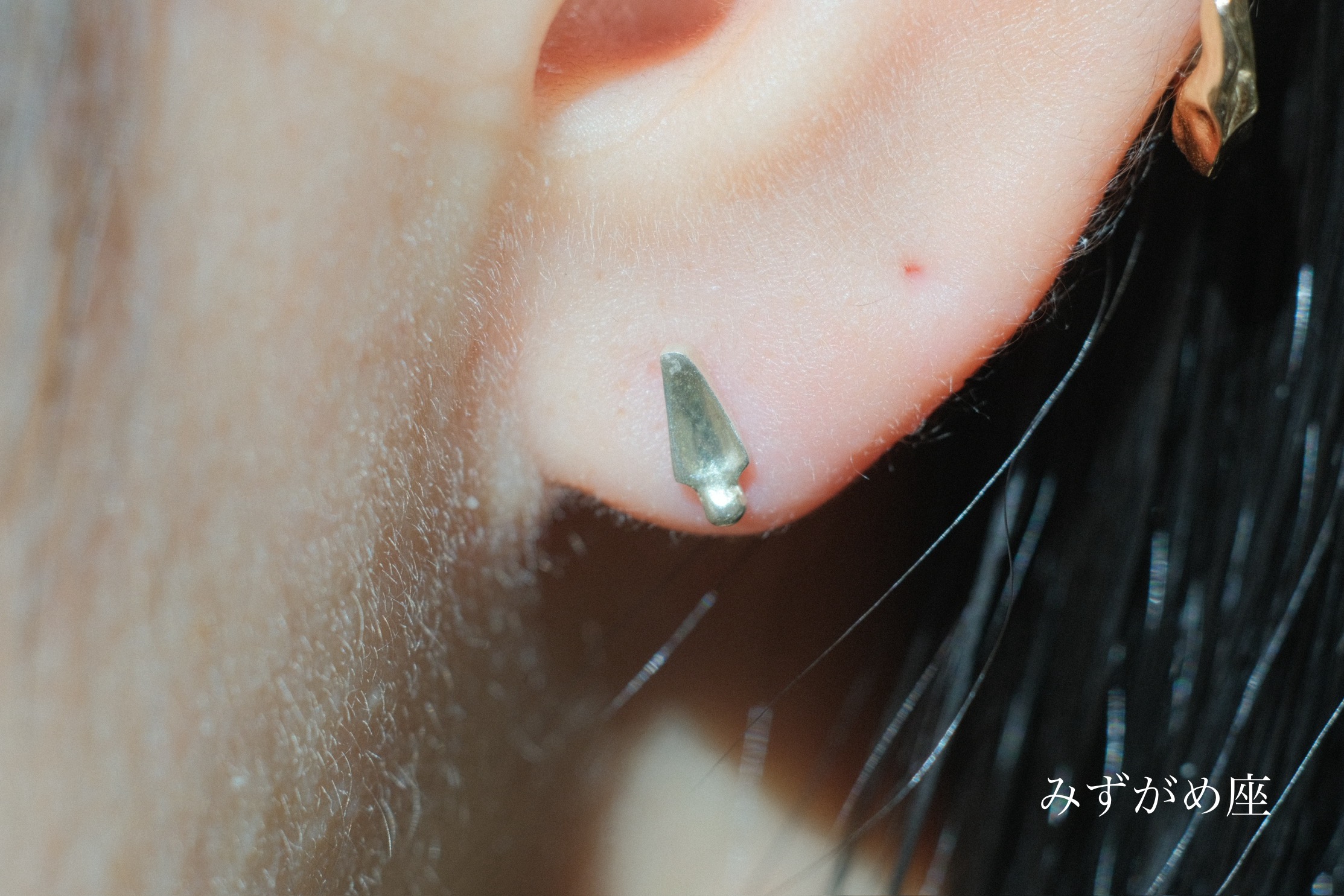 ゾディアック ピアス - PLUIE：プリュイ / ユエリーニュ 『公式』web