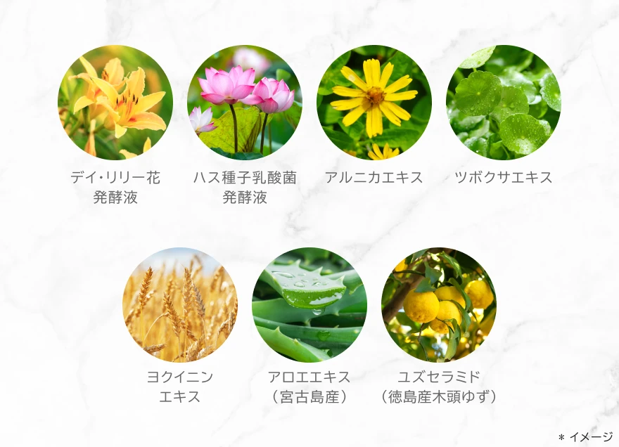 WrinkFade（リンクフェード）/公式サイト