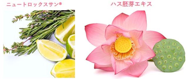 飲む日焼け対策」！！SBC MEDISPA ホワイトサプリメント