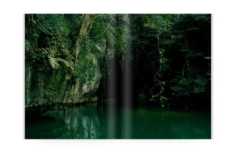 Deeper Green - Colin Dodgson | moom bookshop - art books and magazines