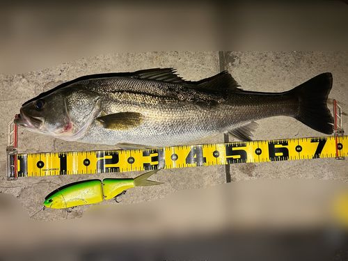 ディーアールティー(DRT) クラッシュ9(クラッシュ9) - アングラーズ