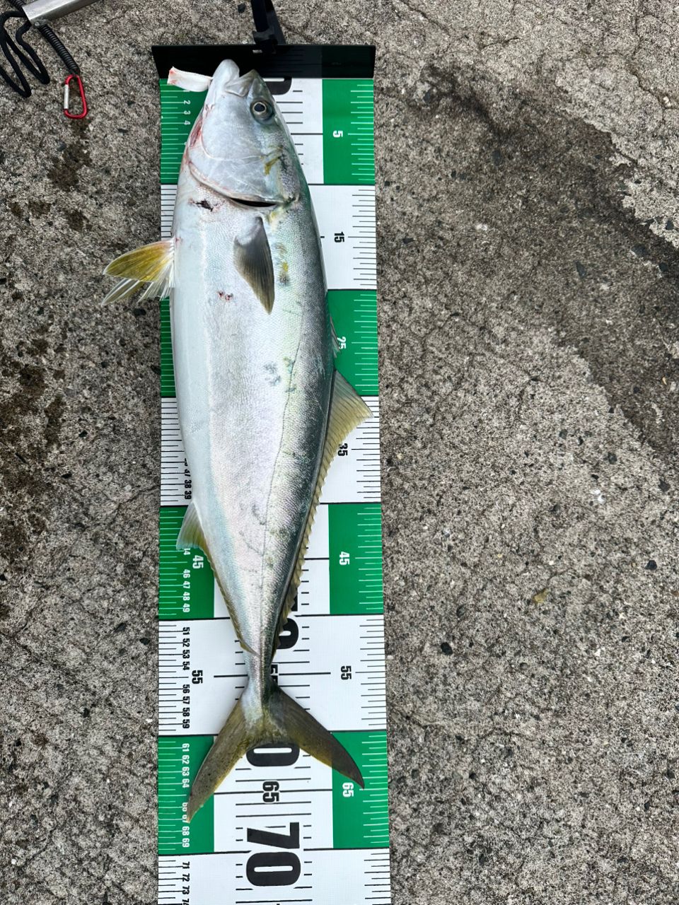 SHIMANO 20コルトスナイパー XR S100MH-3の最安値・インプレ・釣果