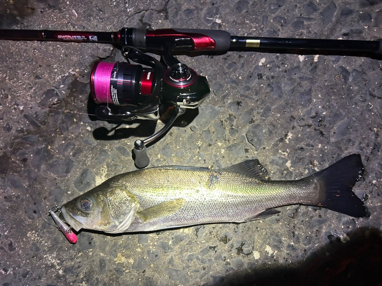 月下美人アジング80ML-T中古 ダイワ 月下美人アジング 80ML-T DAIWA