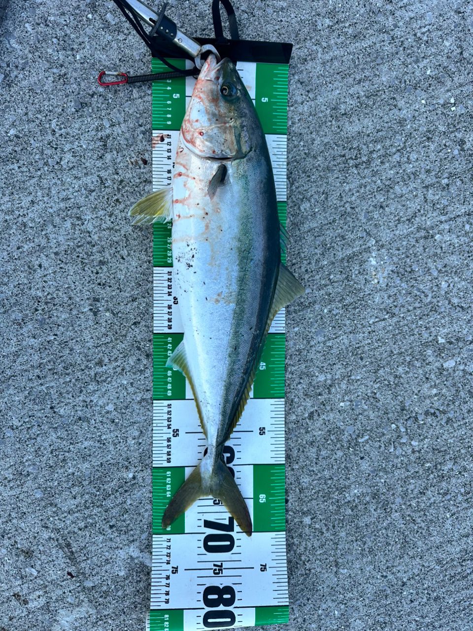 SHIMANO 20コルトスナイパー XR S100MH-3の最安値・インプレ・釣果