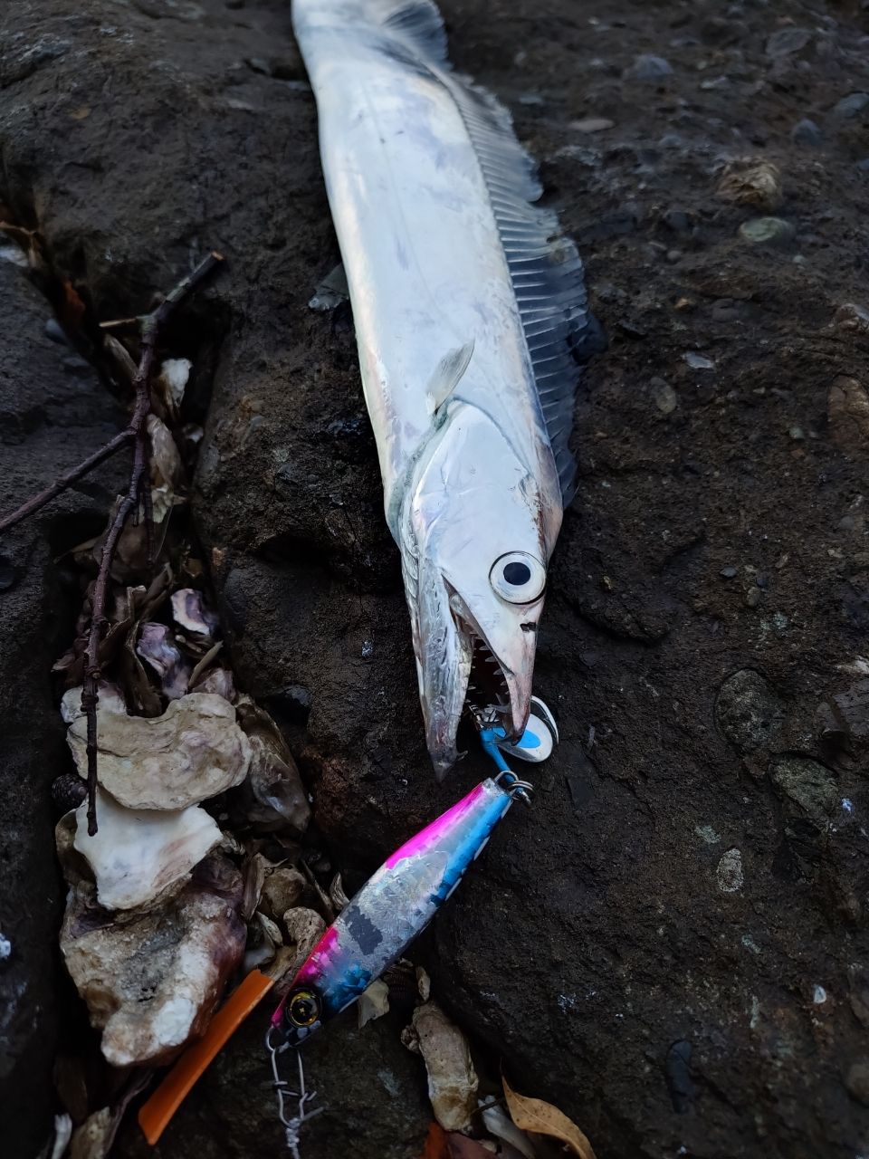 SHIMANO 20コルトスナイパー XR S96MLの最安値・インプレ・釣果 | 本音