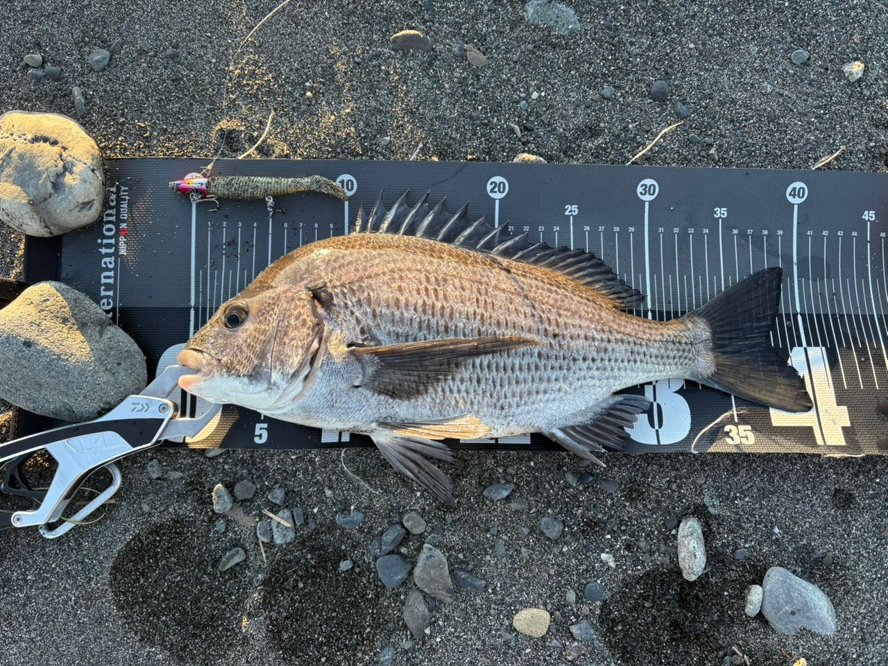 DAIWA 21ラブラックス AGS 100Mの最安値・インプレ・釣果 | 本音の