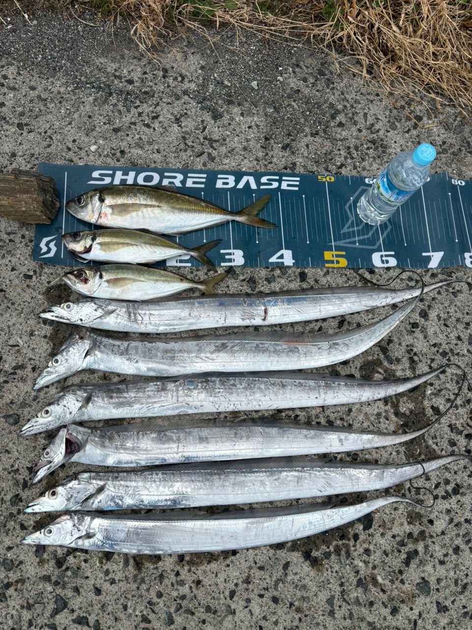 MajorCraft 鯵道 5G AD5-S682M/AJIの最安値・インプレ・釣果 | 本音の