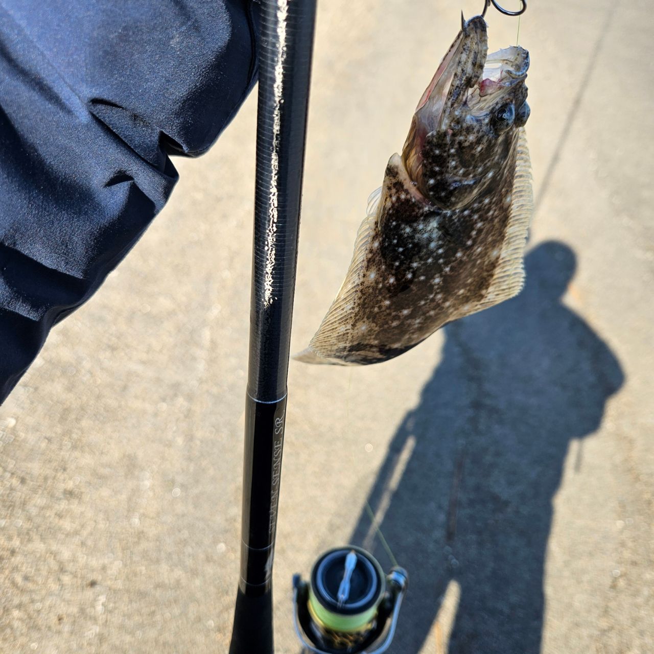 GCRAFT セブンセンスSR モンスターサーフ MSS-1062-SRの最安値