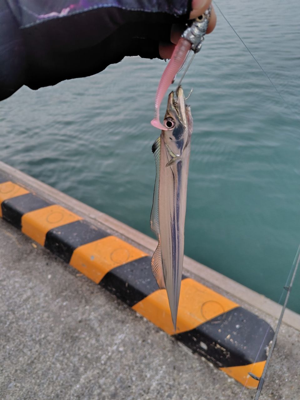 SHIMANO 20ゾディアス 264UL-Sの最安値・インプレ・釣果 | 本音の