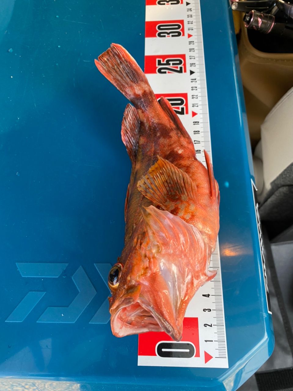 DAIWA 19紅牙 エア N610MHB TG・Nの最安値・インプレ・釣果 | 本音の