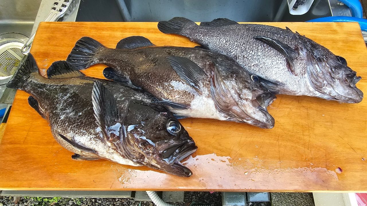 AbuGarcia ロックスイーパー NRS-7102MLHF-TZ GROUPERの最安値