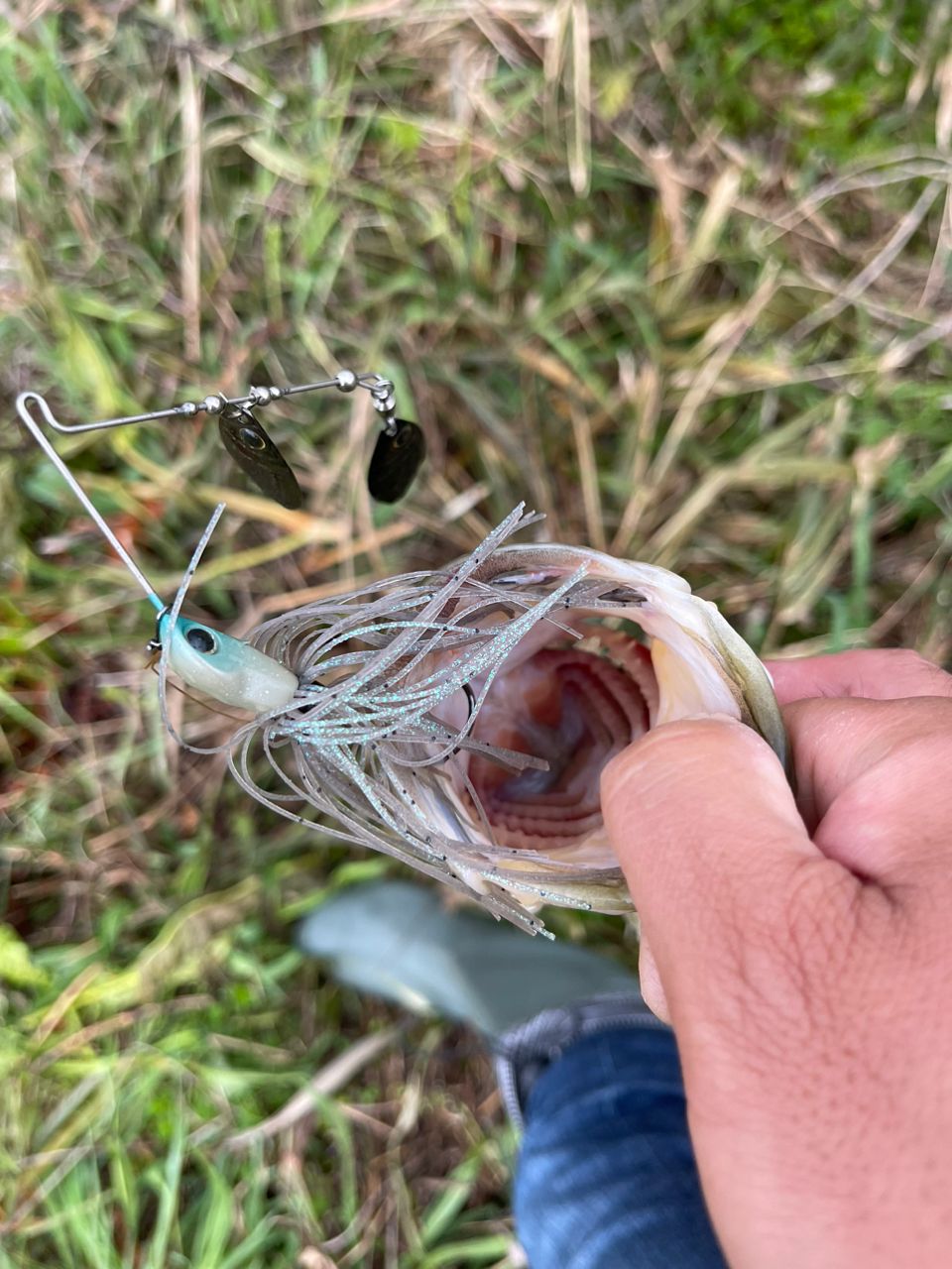 ZENAQ グランツ B73Circularの最安値・インプレ・釣果 | 本音の口コミ