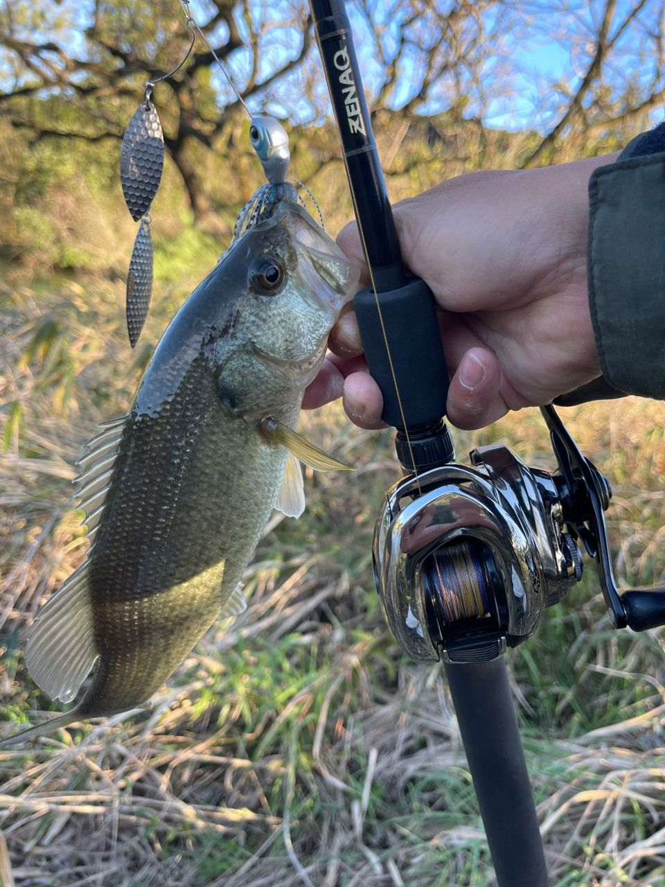 ZENAQ グランツ B73Circularの最安値・インプレ・釣果 | 本音の口コミ