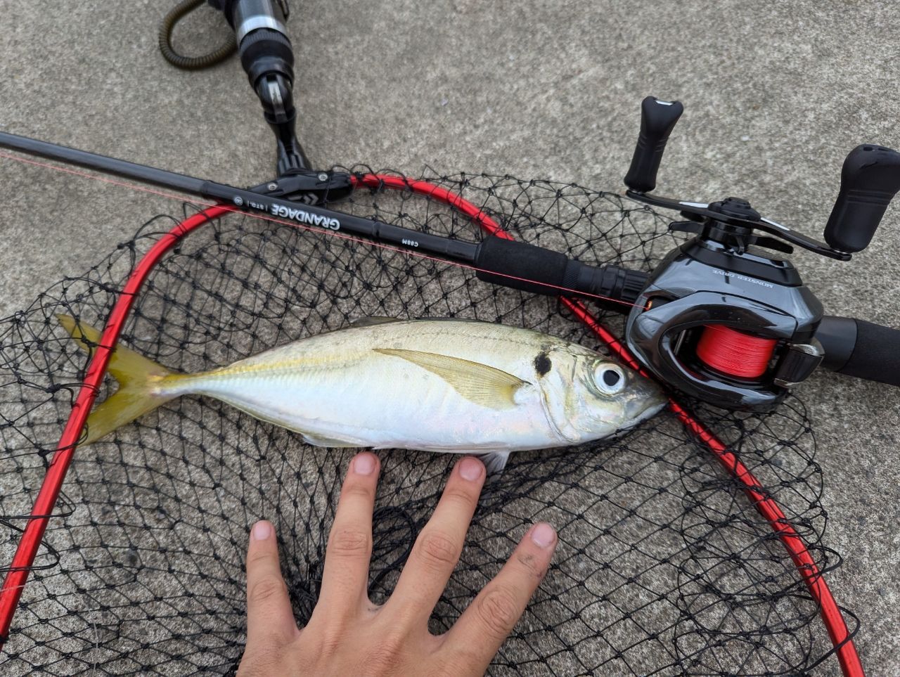 APIA グランデージ スタンダード C88Mの最安値・インプレ・釣果 | 本音