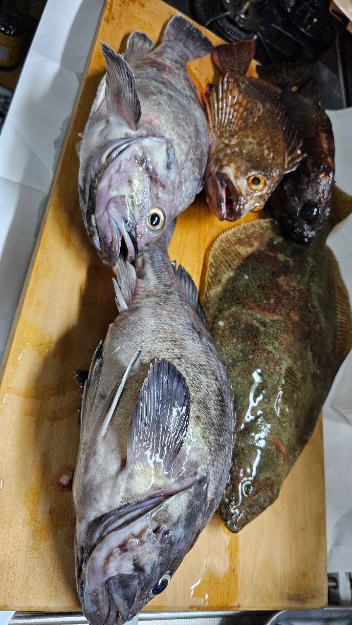 AbuGarcia ロックスイーパー NRS-7102MLHF-TZ GROUPERの最安値