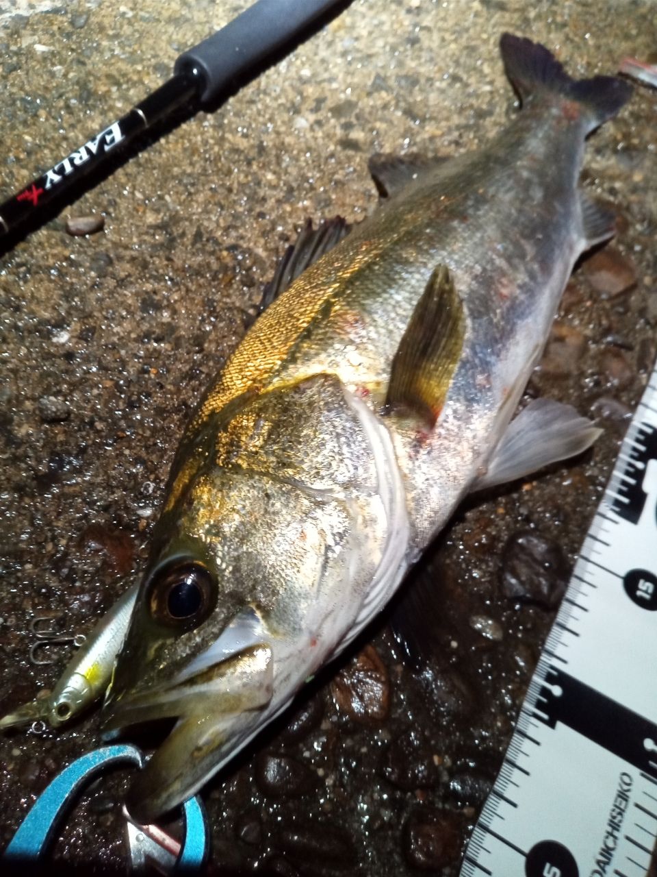 YAMAGA Blanks アーリー プラス 710XFの最安値・インプレ・釣果 | 本音