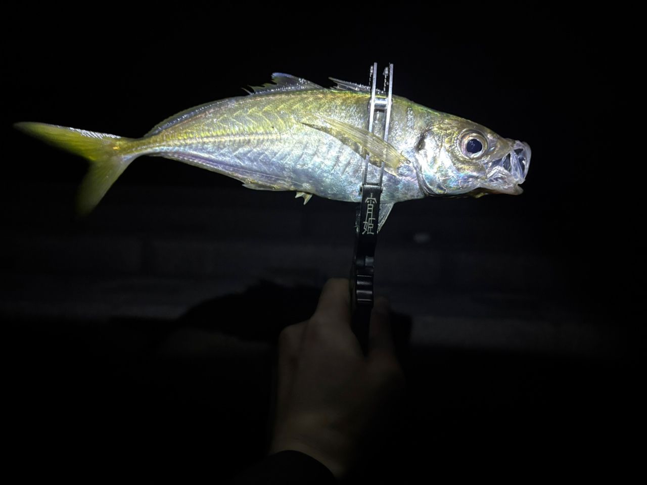 Gamakatsu ラグゼ 宵姫 華 弍 S64ML-solidの最安値・インプレ・釣果