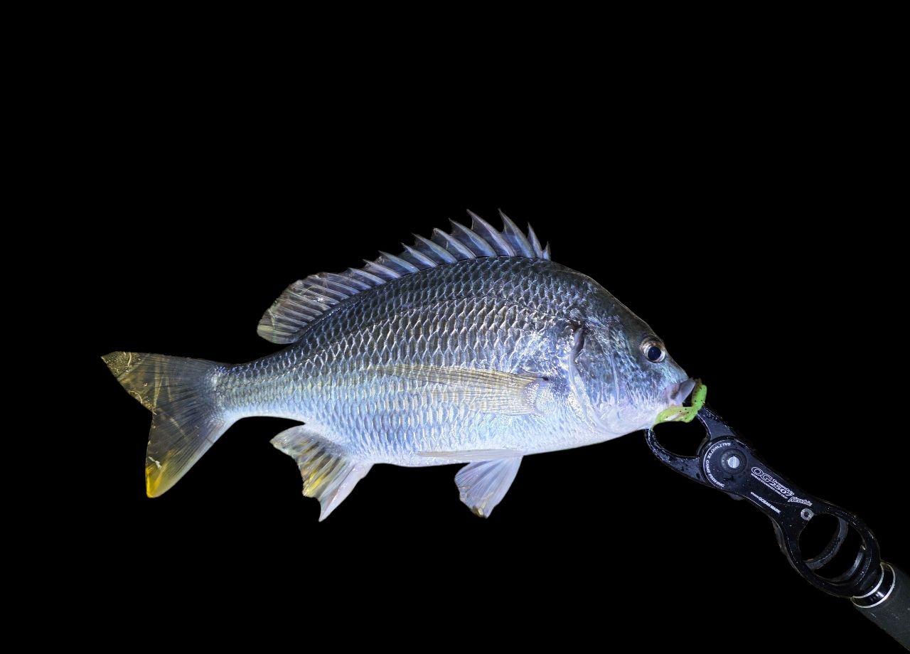 GCRAFT セブンセンスTR ミッドナイトジェティ MJS-782-TRの最安値