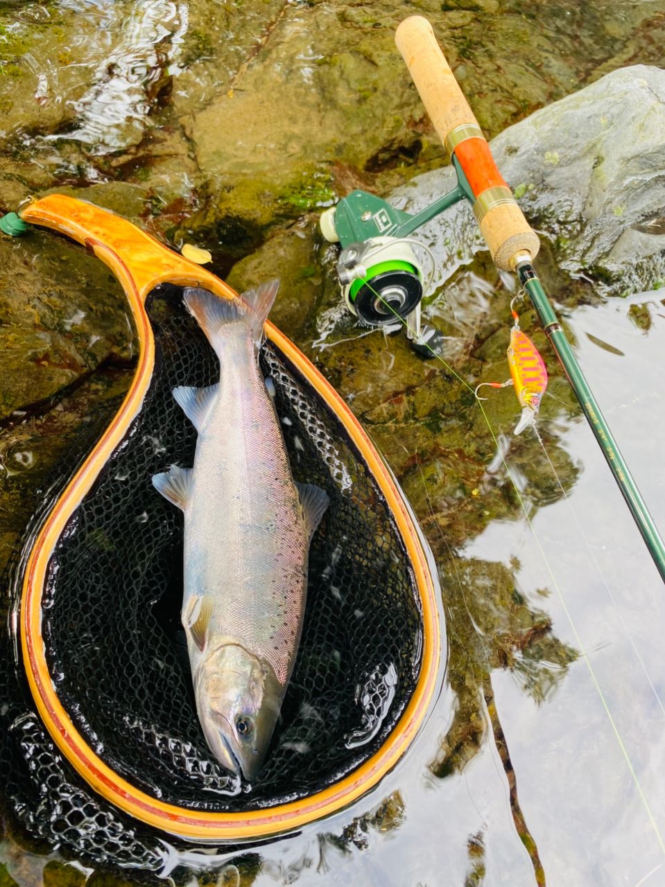 TIEMCO エンハンサー E54ML-5の最安値・インプレ・釣果 | 本音の口コミ