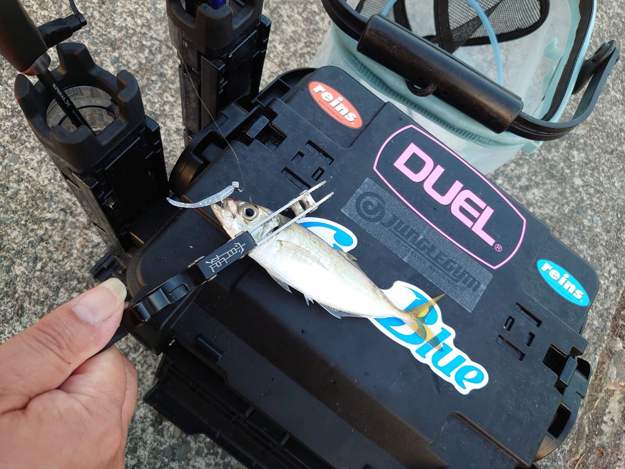 SHIMANO 17ソアレ CI4+ アジング S408UL-Sの最安値・インプレ・釣果