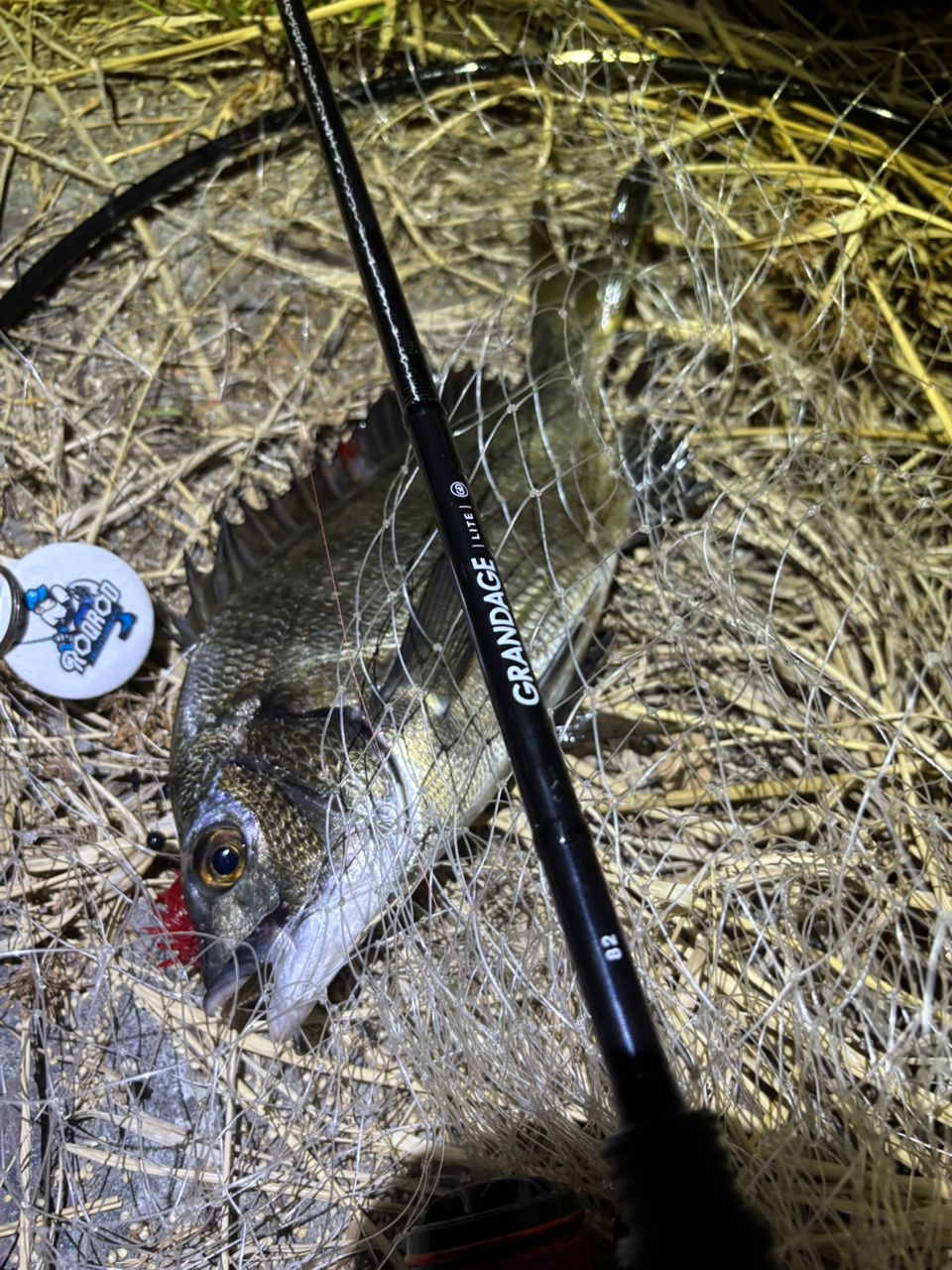 APIA グランデージ ライト 82の最安値・インプレ・釣果 | 本音の口コミ