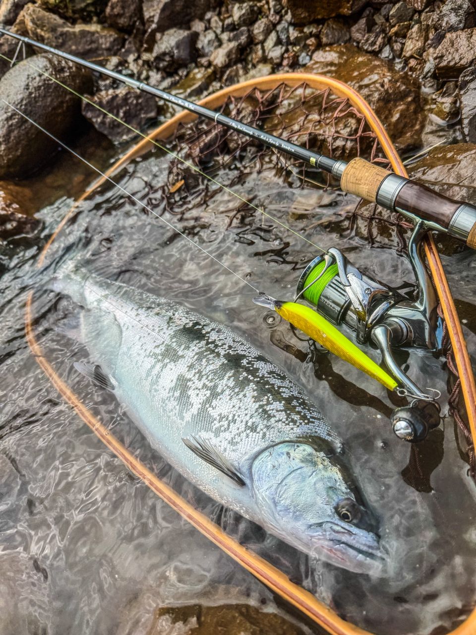 TENRYU レイズ RZ842S-MMHの最安値・インプレ・釣果 | 本音の口コミが