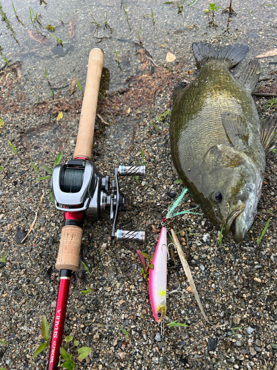 SHIMANO 20ワールドシャウラ ドリームツアーエディション 1652R-5の最