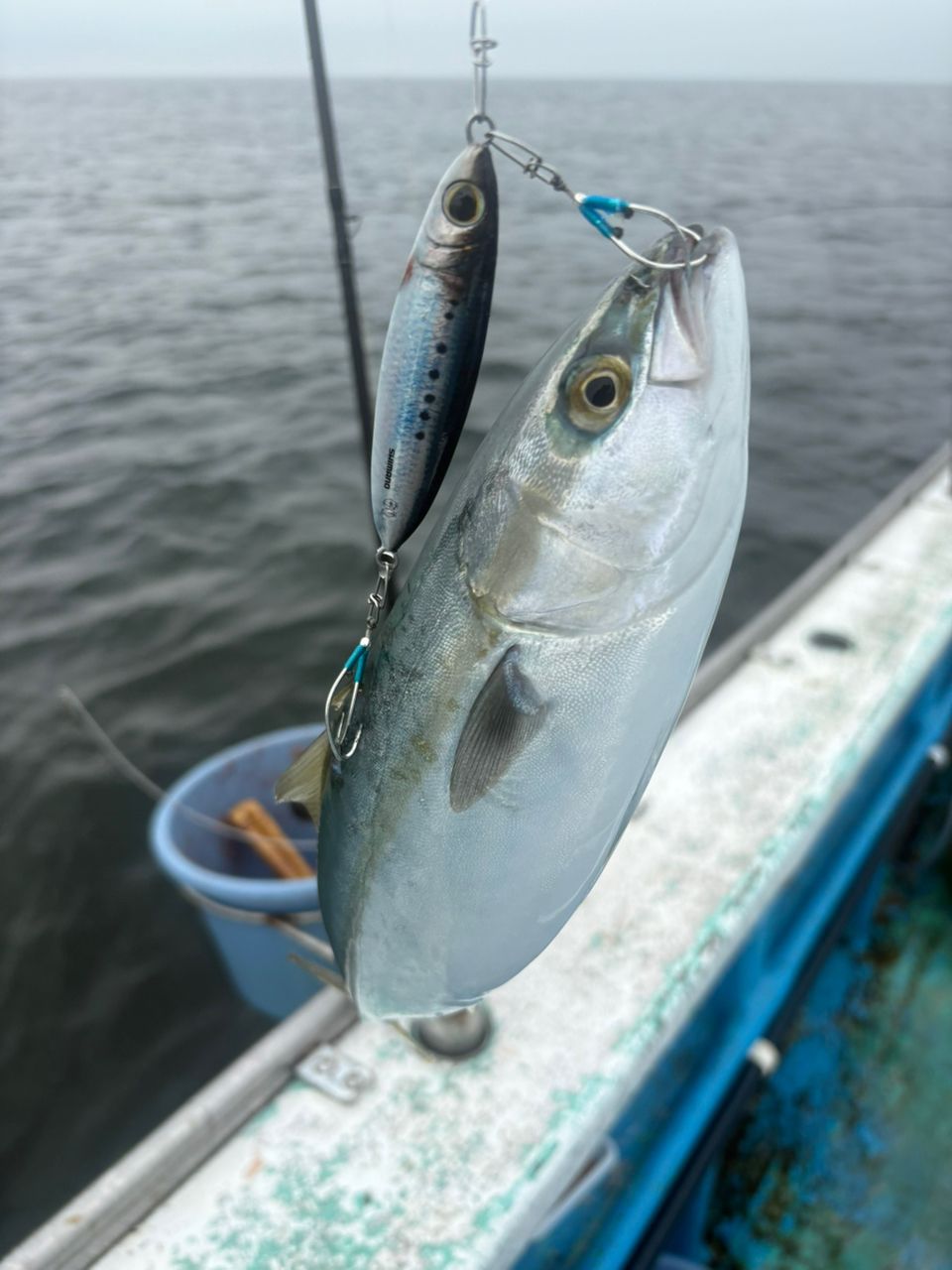 SHIMANO 21ゲーム タイプ LJ S63-2の最安値・インプレ・釣果 | 本音の