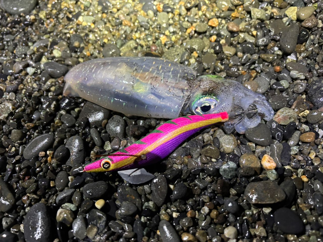 Gamakatsu ラグゼ EG X S89M-solidの最安値・インプレ・釣果 | 本音の