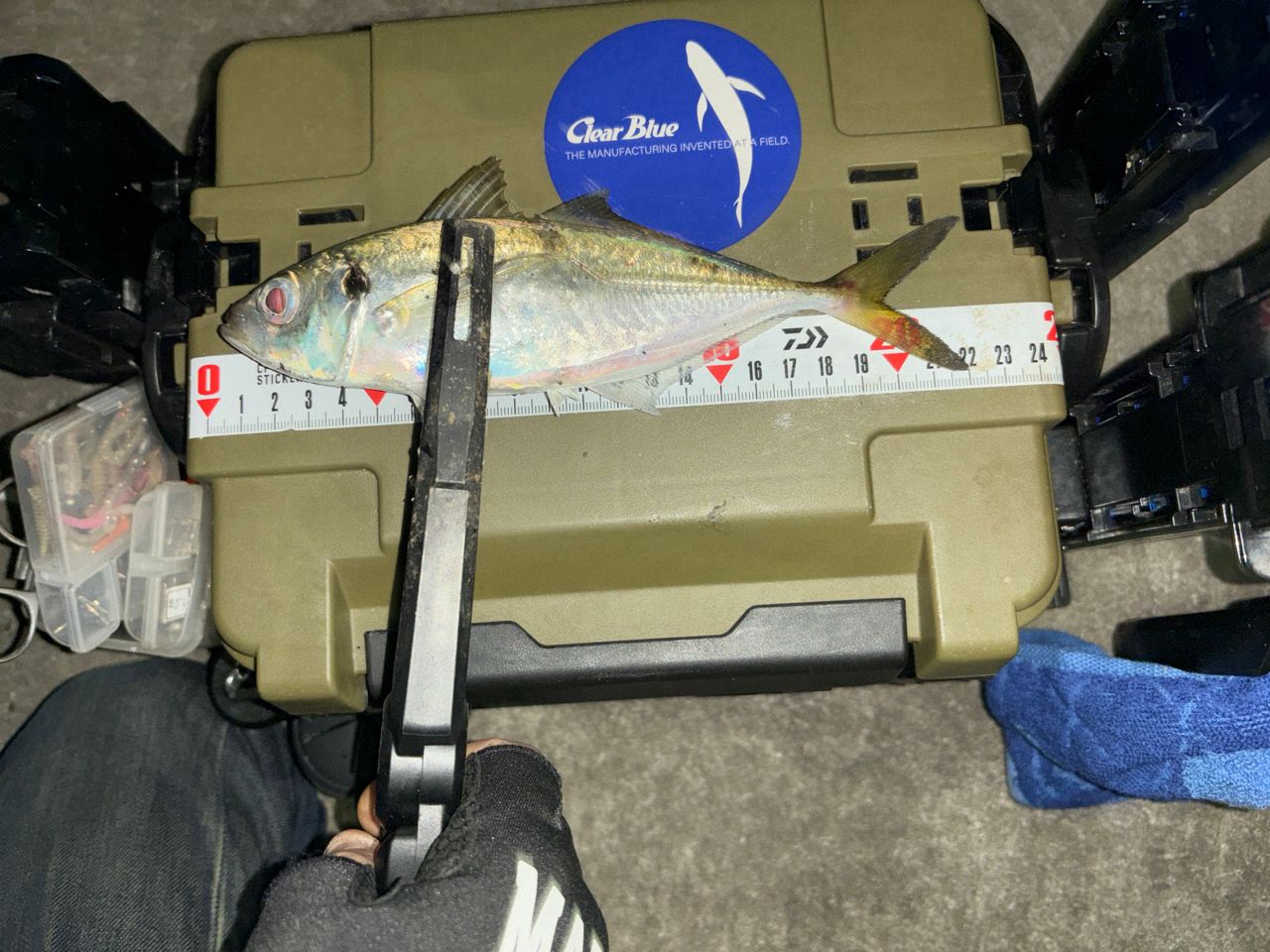 Gamakatsu ラグゼ 宵姫 華 弍 S64ML-solidの最安値・インプレ・釣果