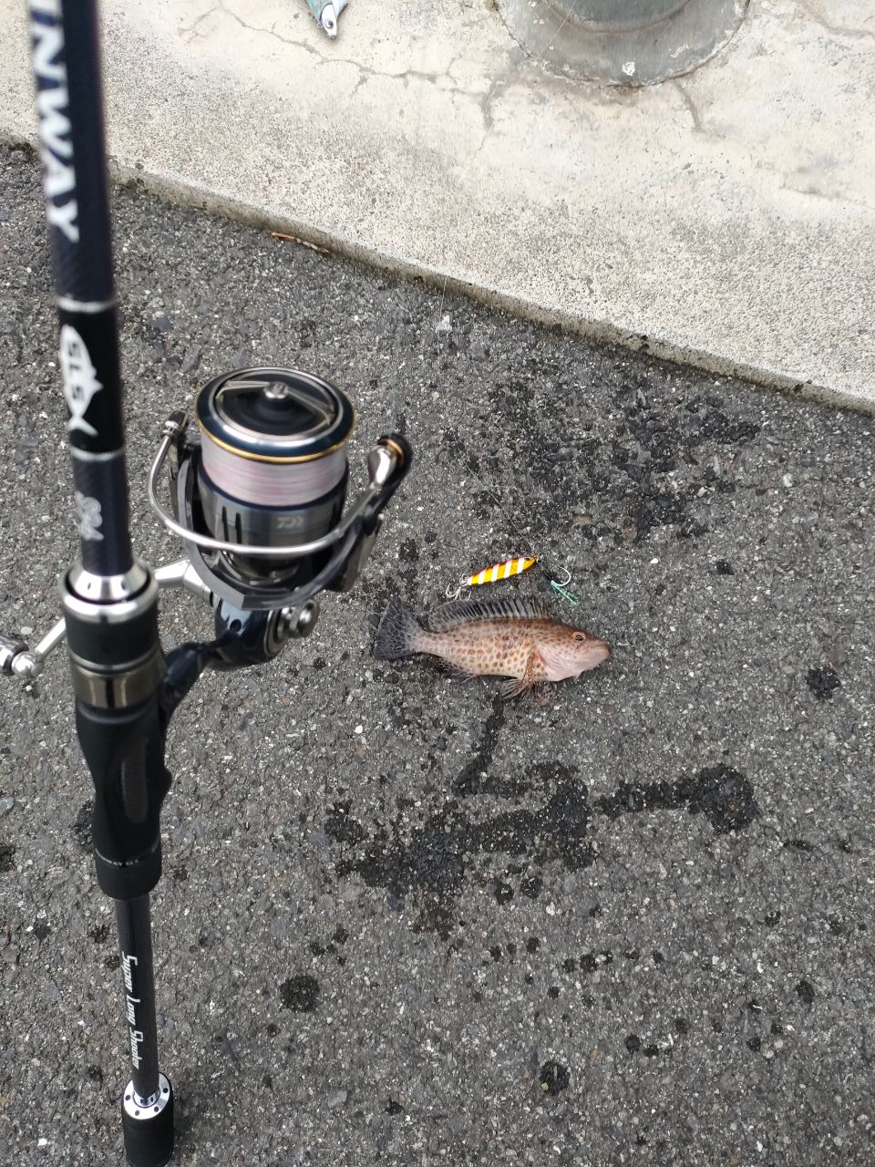 XESTA ランウェイSLS S84の最安値・インプレ・釣果 | 本音の口コミが