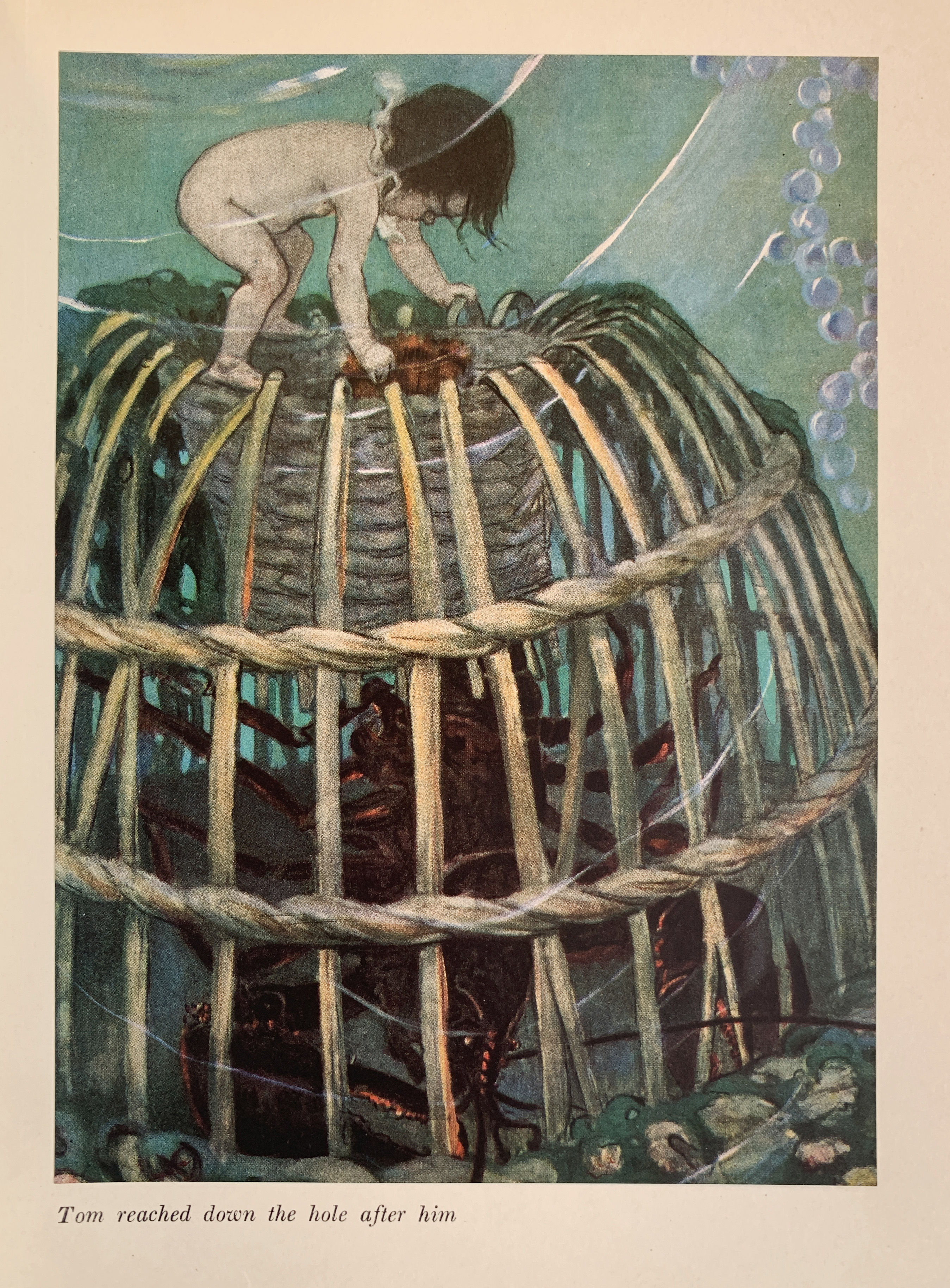 The Water Babies. Illustrated by Jessie Willcox Smith. by KINGSLEY